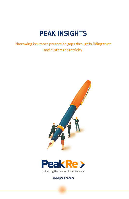 Peak Insights 2016 EN 1