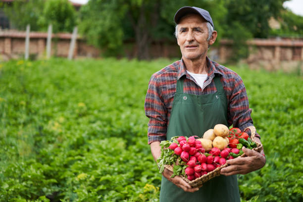 2022 economic outlook: Spotlight on rising food prices and inflation