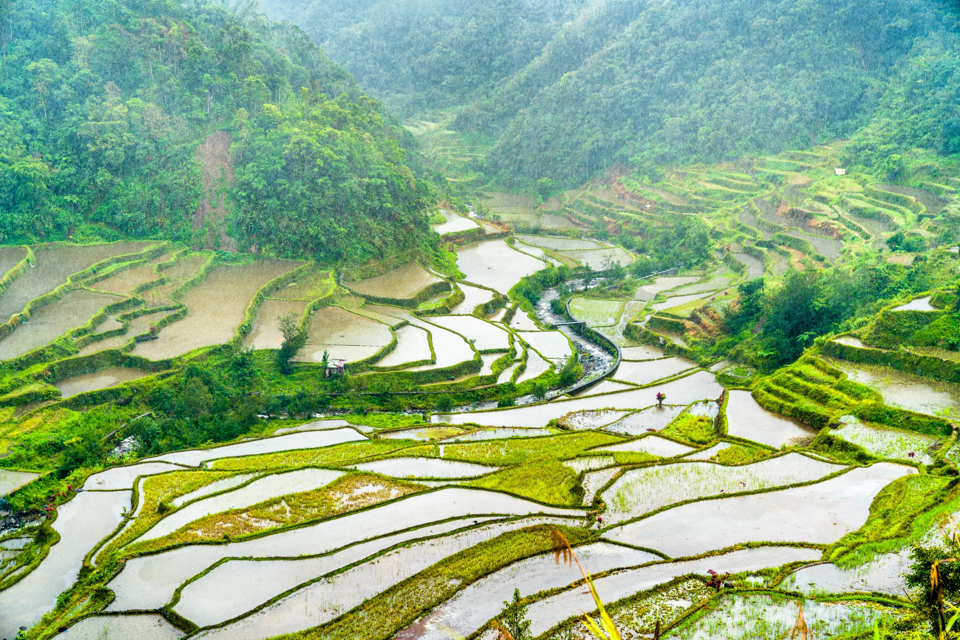 Addressing Climate Risk – Key to Bridge the Protection Gap in Asia